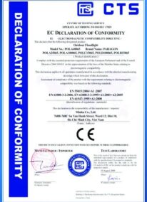 CTS Declaration of Conformity – Floodlight